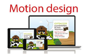 Consultez le portfolio de KISSAGRAM Design
