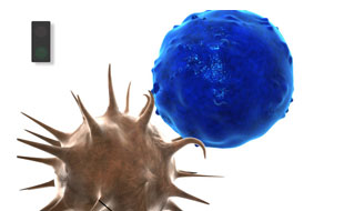 Consultez le portfolio de DH3D