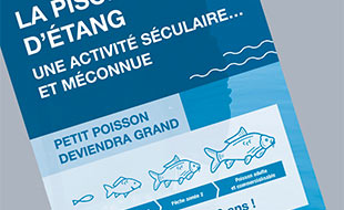 Consultez le portfolio de Studio NORDSUD Création