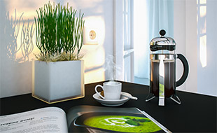 Consultez le portfolio de WNS-Studio