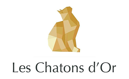 Chatons d'Or 2019 : Creative World In Progress