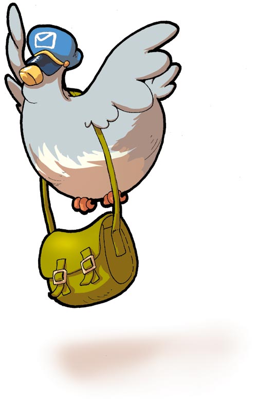 Achile - pigeon voyageur