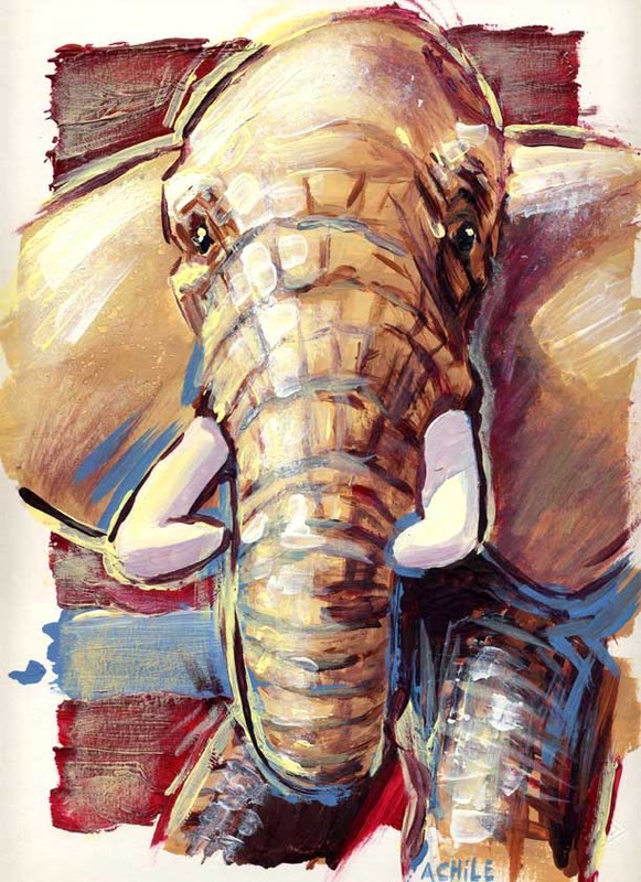 Achile - éléphant peinture acrylique