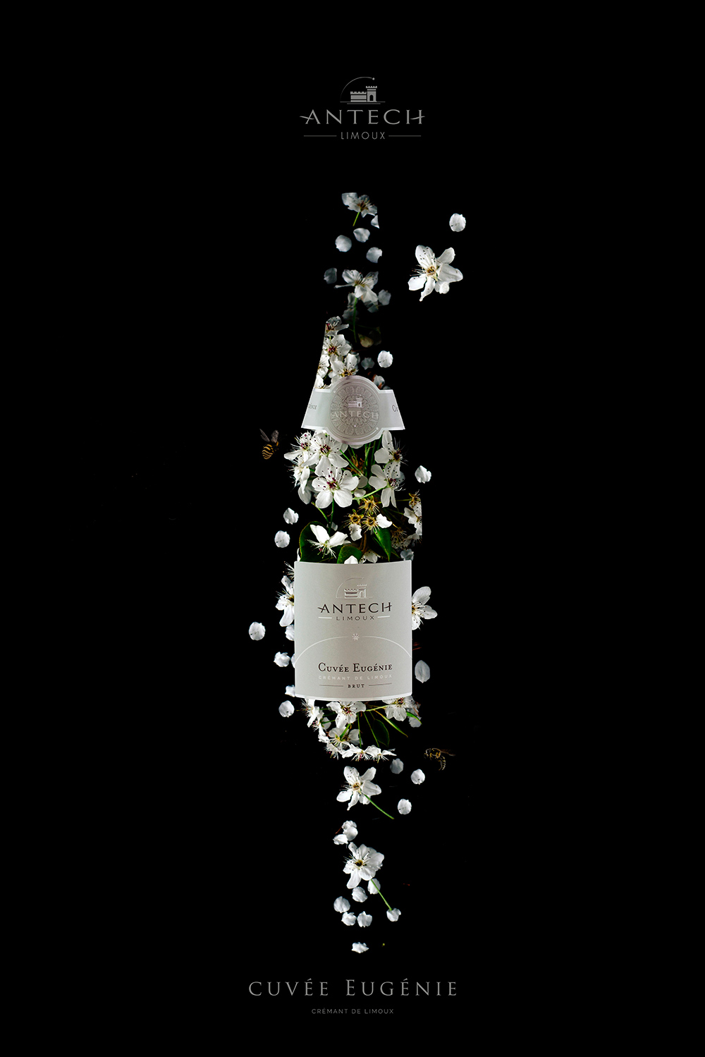 Agence Verri -