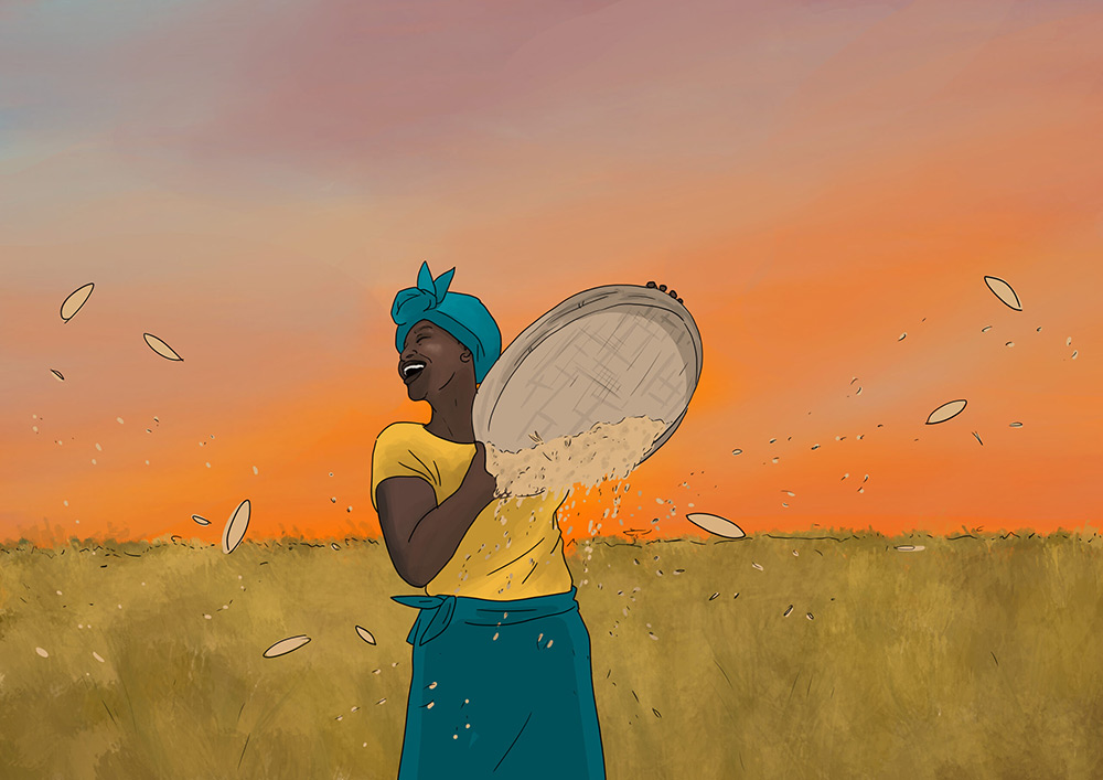 Alice Colson - Illustration agriculture