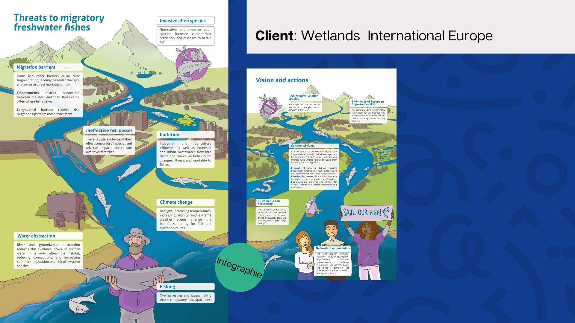 Alice Colson - Infographies - Wetlands