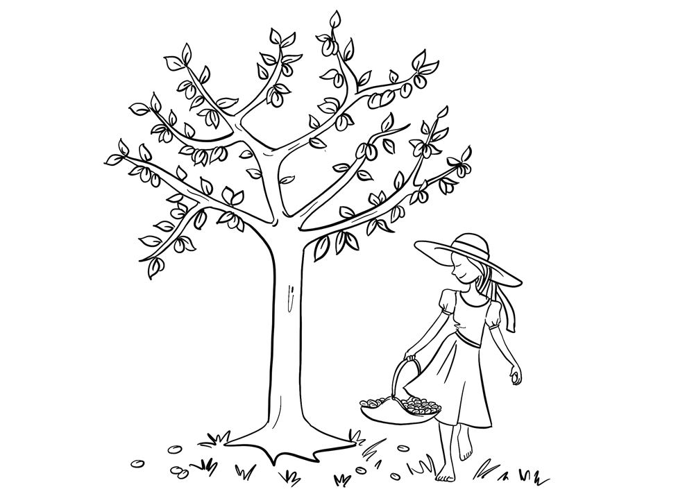 Capucine dessine -