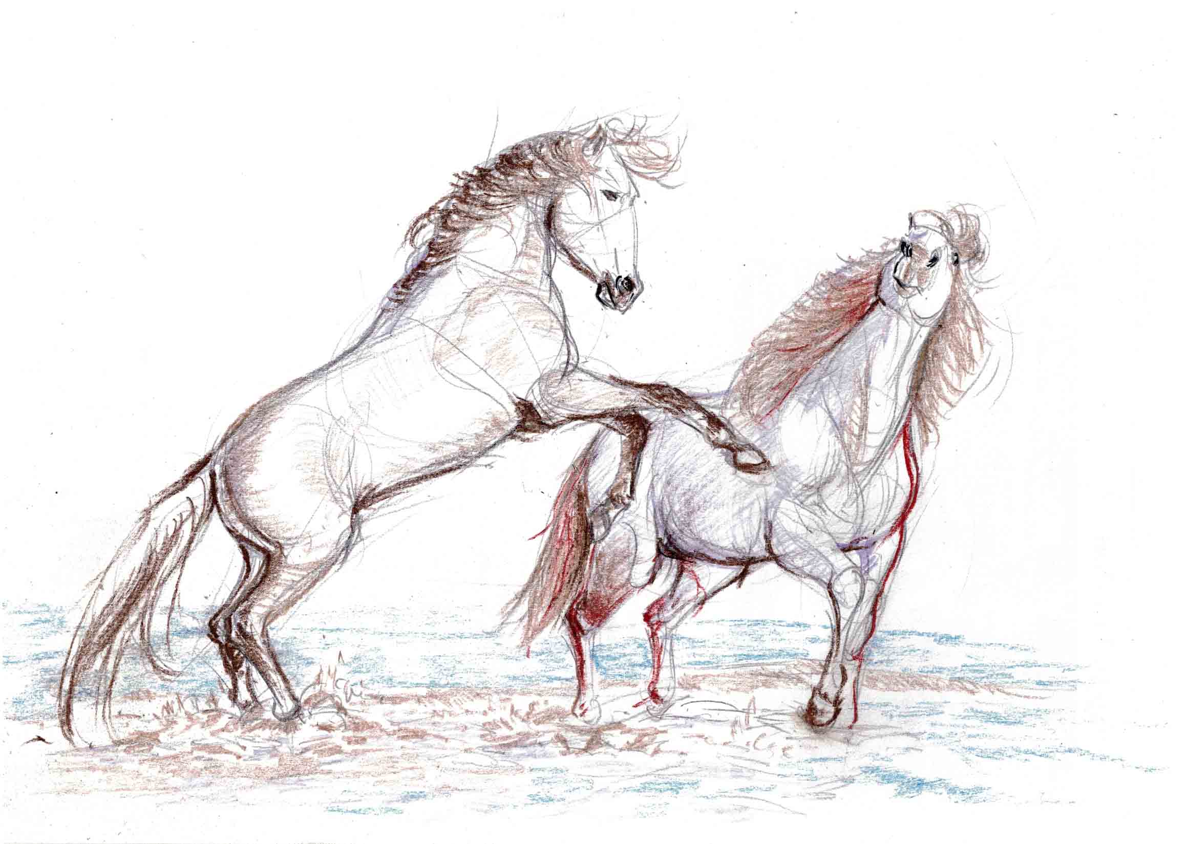 Christophe Esquerré - Chevaux