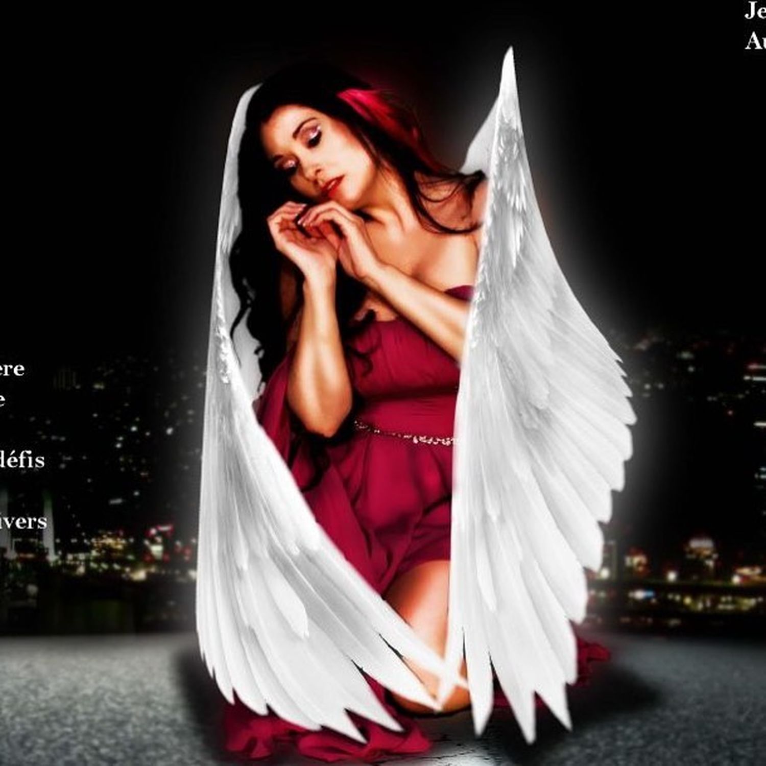 Air Wings Publishing - Cyrille J. Photographe -