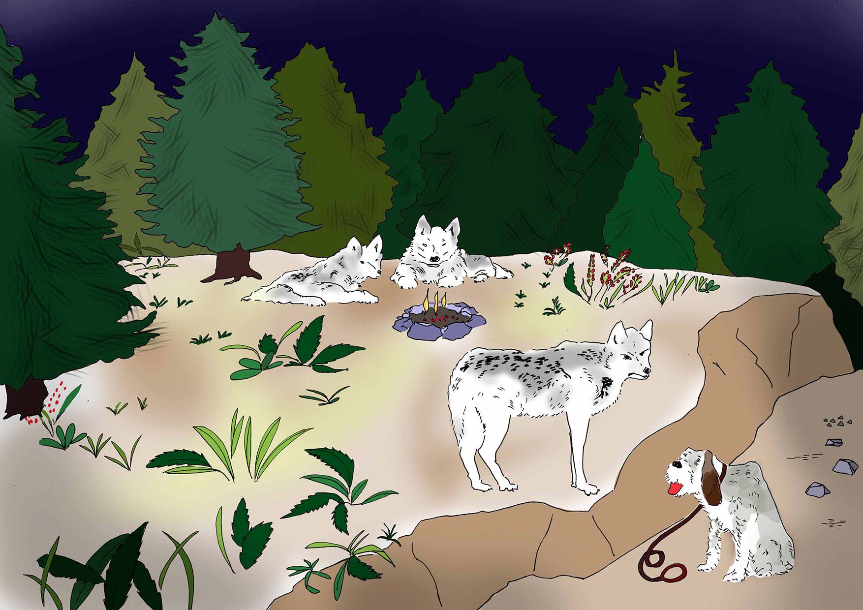 Hassiba Kessaci - illustration poésie conte recueil numérique