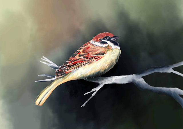 Hassiba Kessaci - oiseau,digital painting,numérique,photoshop,peinture