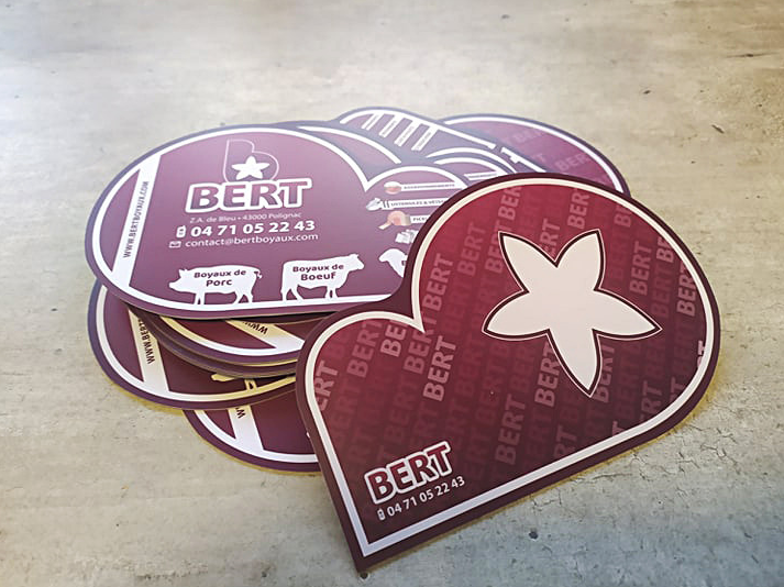 iBiz®print -