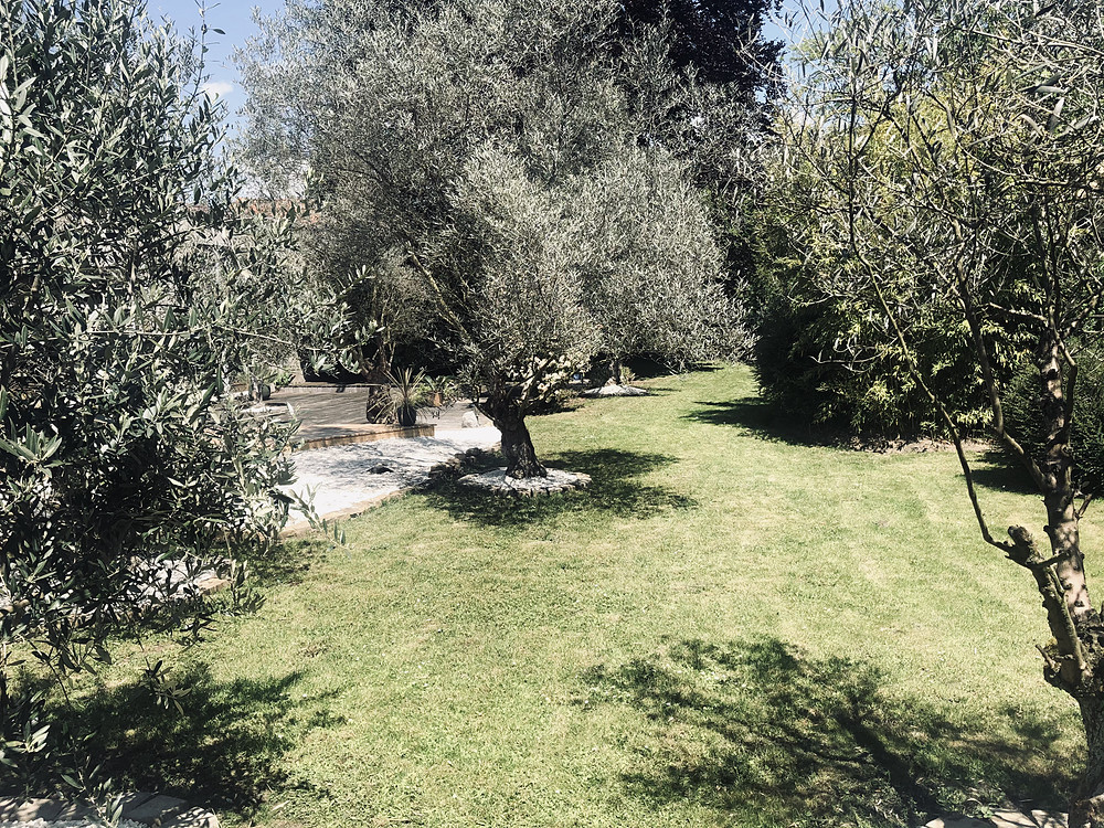 Les STUDIOS -
