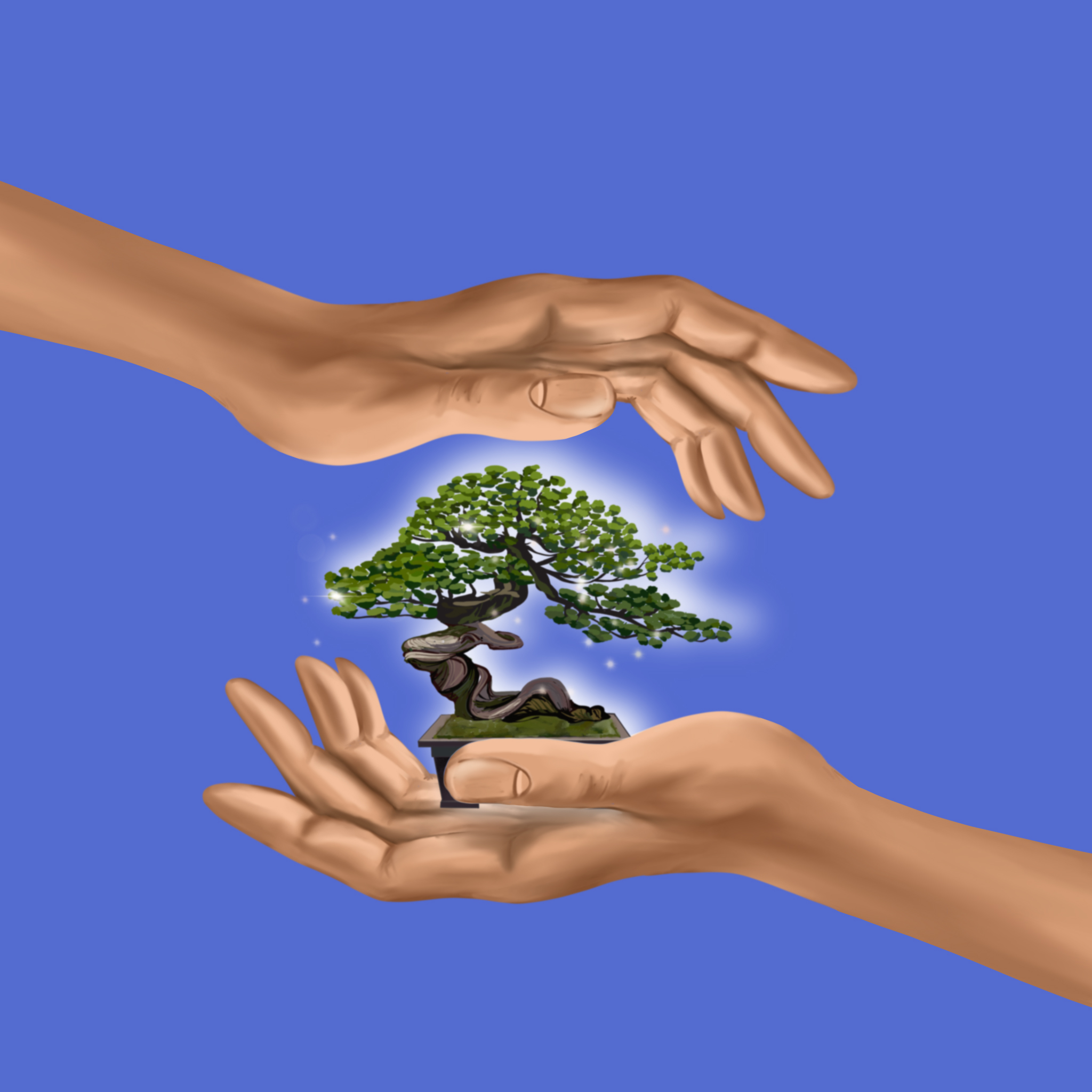 Lina Toffini - Le bonsai
