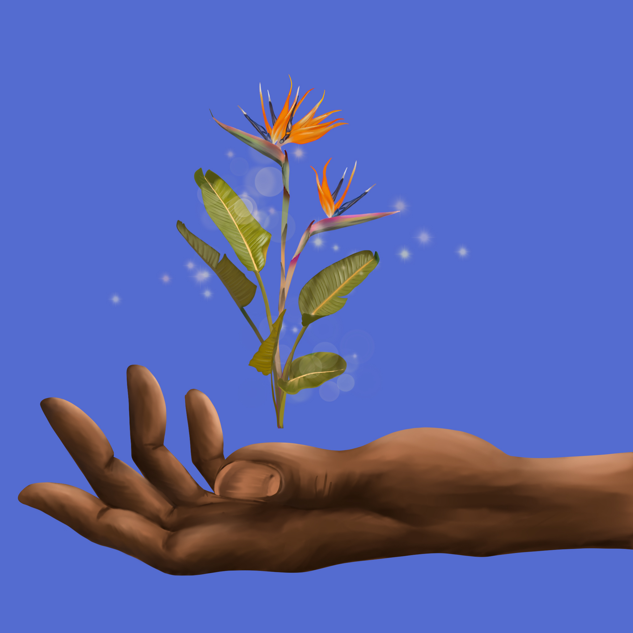 Lina Toffini - Nurture