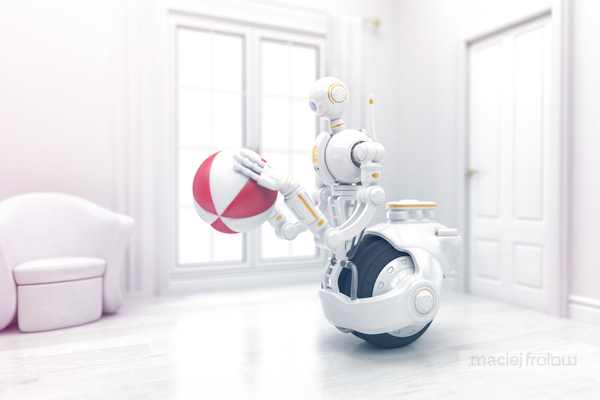 Maciej Frolow - Robot domestique