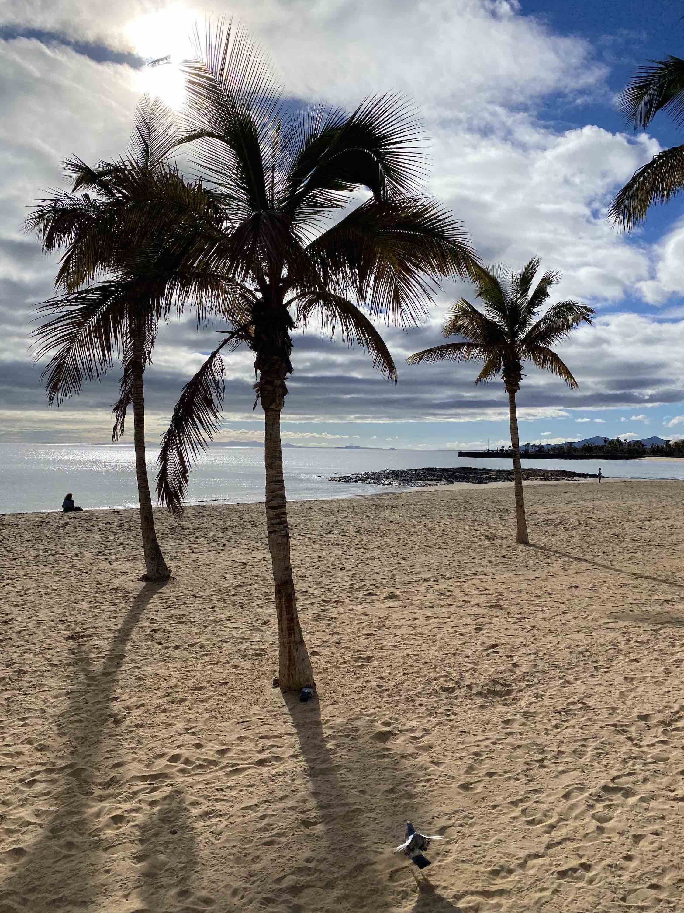 Paraiso Productions -