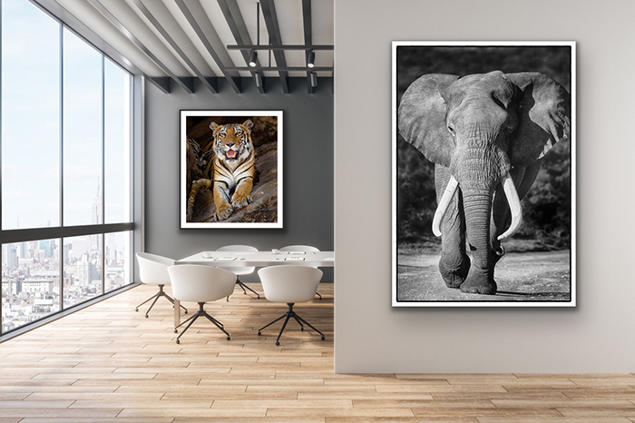 Photo Lab Design - Tirage fine art et encadrement sur mesure