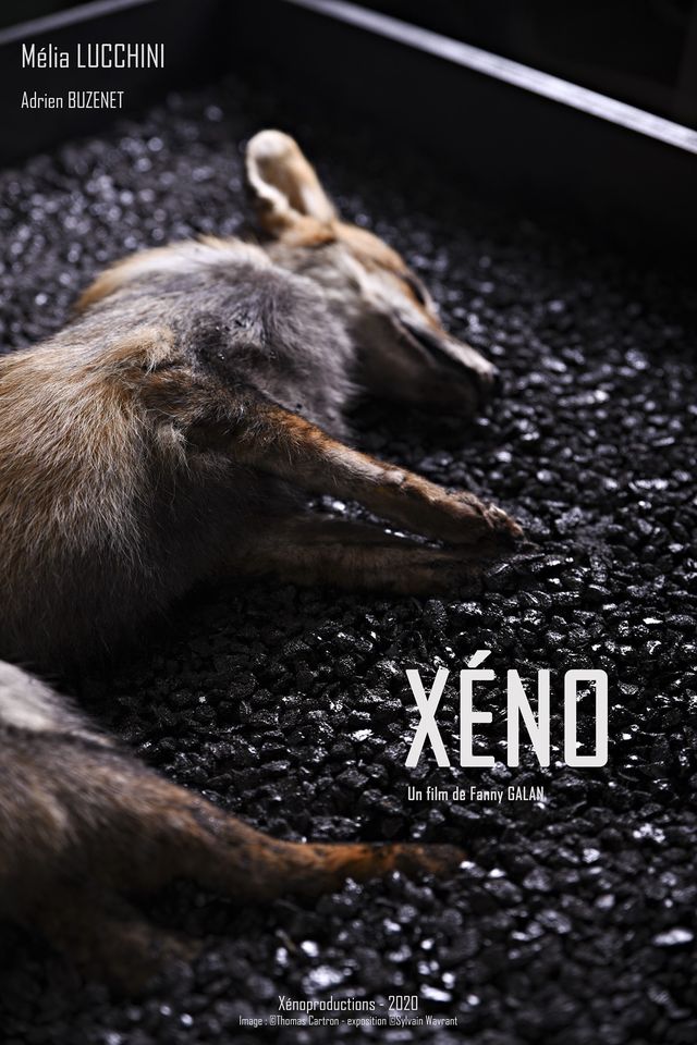 Sound Fishing - Xeno réalisé par Fanny Galan