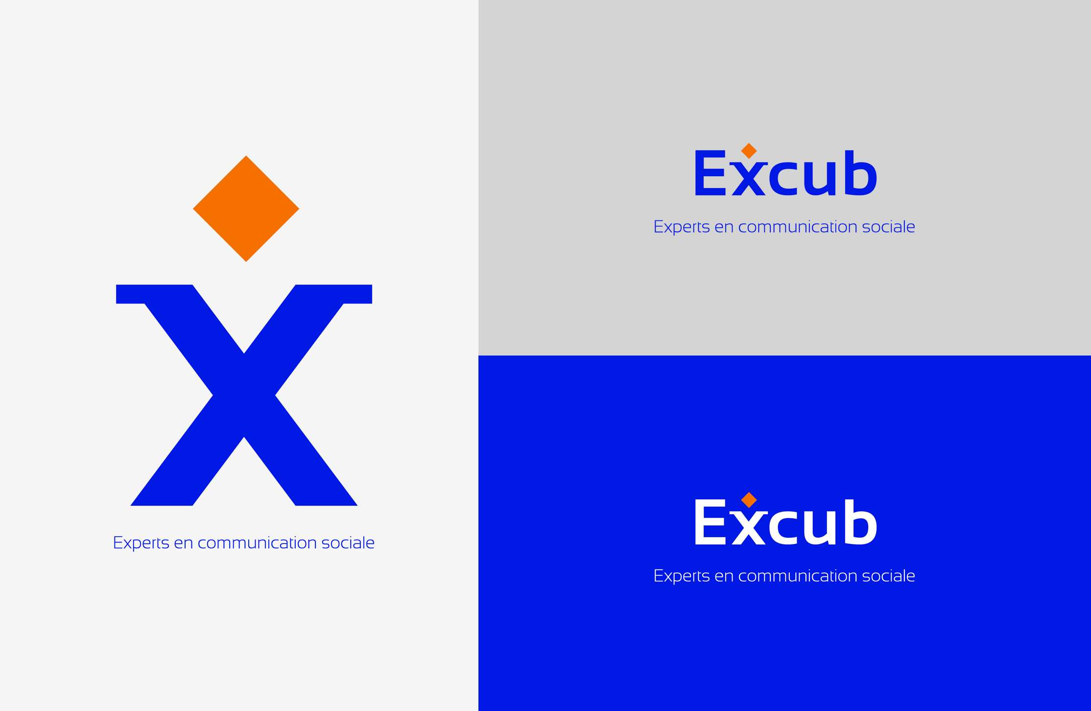 Studio NORDSUD Création - Création du logo de la société Excub