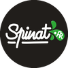 logo Agence Web Spinat