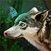 logo Aurore Payelle