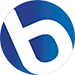 logo Bluevista Product...