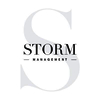 logo Storm Model Manag...